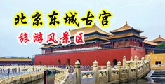 鸡巴大奶子视频中国北京-东城古宫旅游风景区